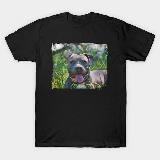 Pit Bull Terrier T-Shirt by PhotoArts